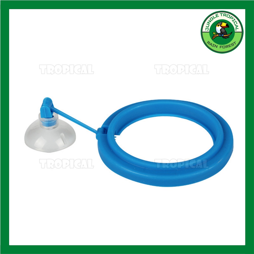 Vòng cho cá ăn - giữ thức ăn không bị phân tán - Loại mỏng/dày - hình tròn/vuông