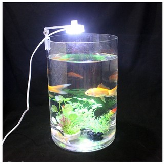 Đèn Led kẹp thành bể cá tròn, miệng bể vòm khó gắn đèn thường