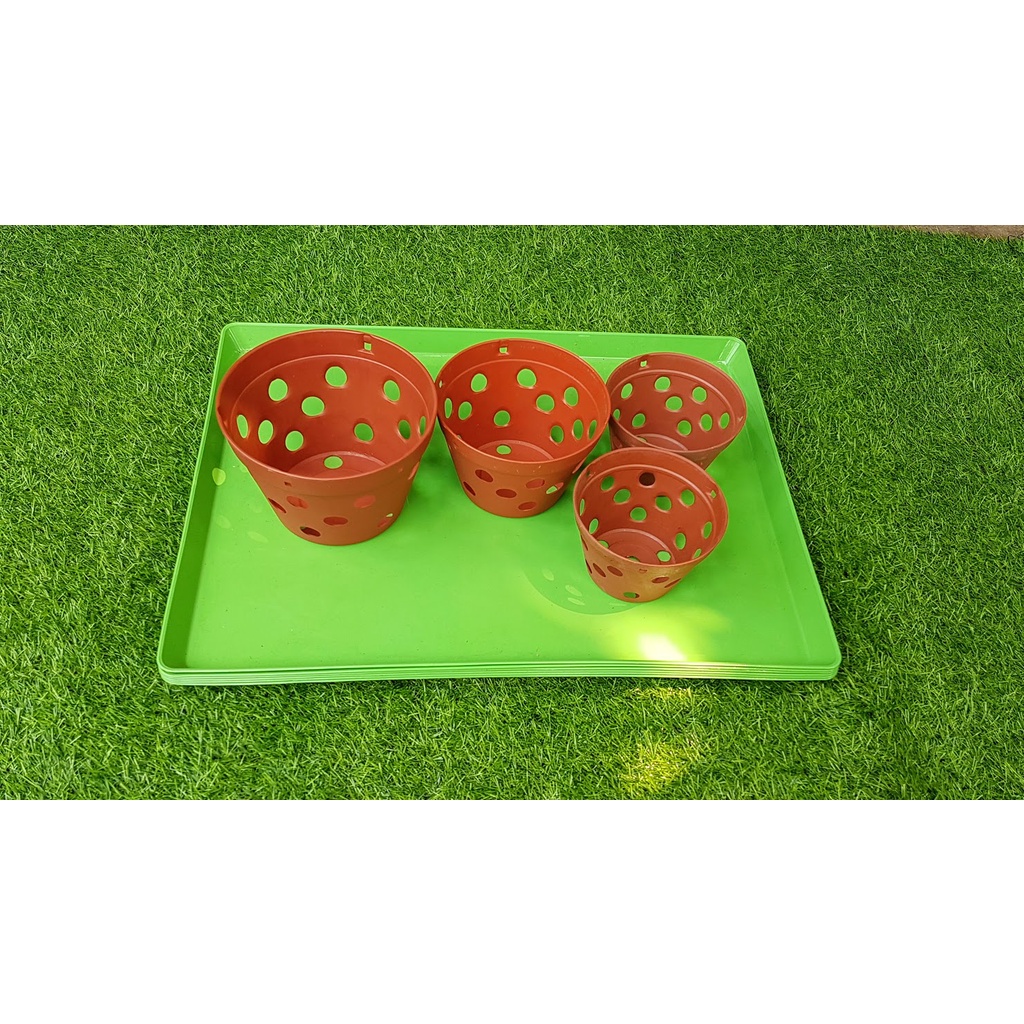 Combo 10 khay xanh 45-60-3cm đựng nước trồng lan ươm giống Và lót chuồng thú cưng