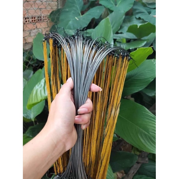 Cung Bẫy Cút Đủ Màu