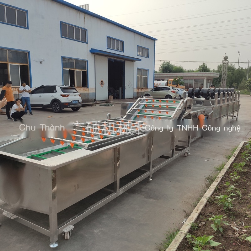 Tự động rửa ớt edamame máy rửa rau bong bóng thiết bị làm sạch rau quả dây chuyền sấy khô rau quả