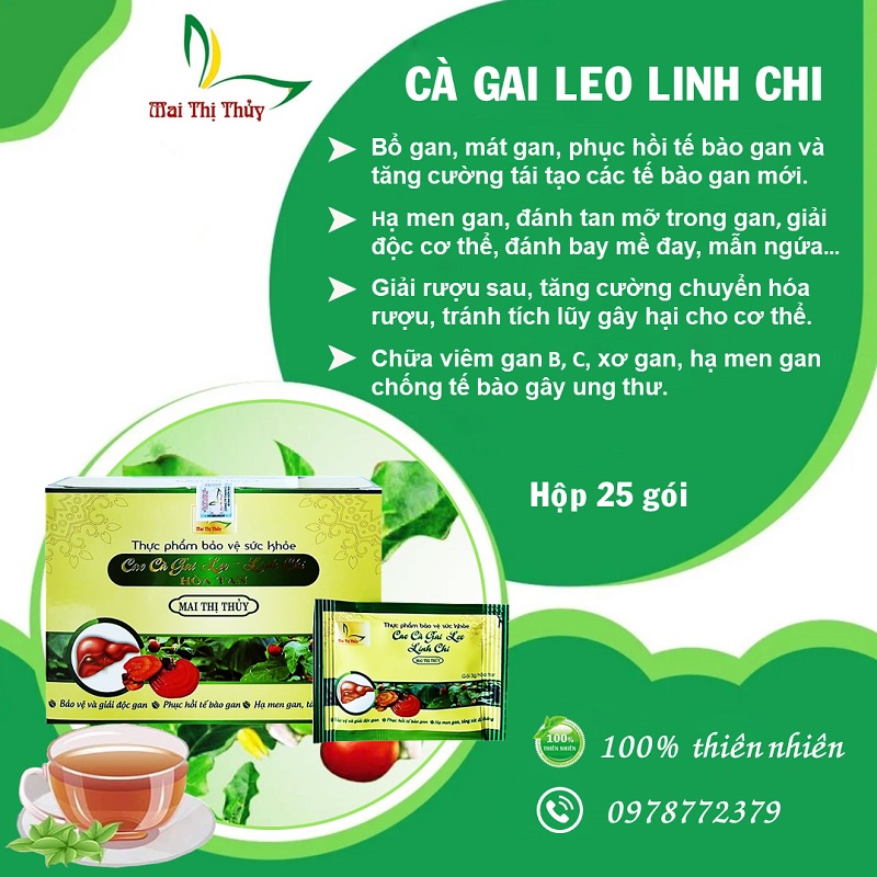 Cao cà gai leo linh chi dạng hòa tan hộp 25 gói - Giúp thanh nhiệt, giải độc, mát gan.