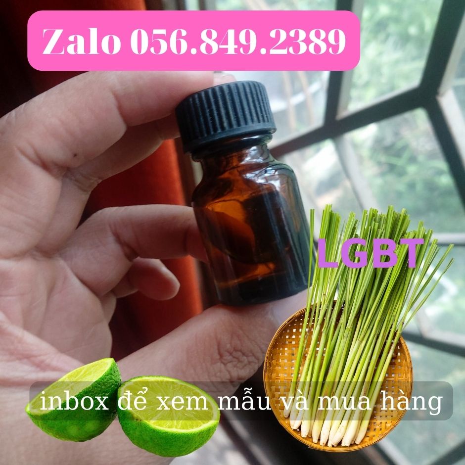 Chai Tinh Dầu Nước Hoa Bỏ Túi Cho Nam Hít Hương PP Phiên Bản Ong, Bọ