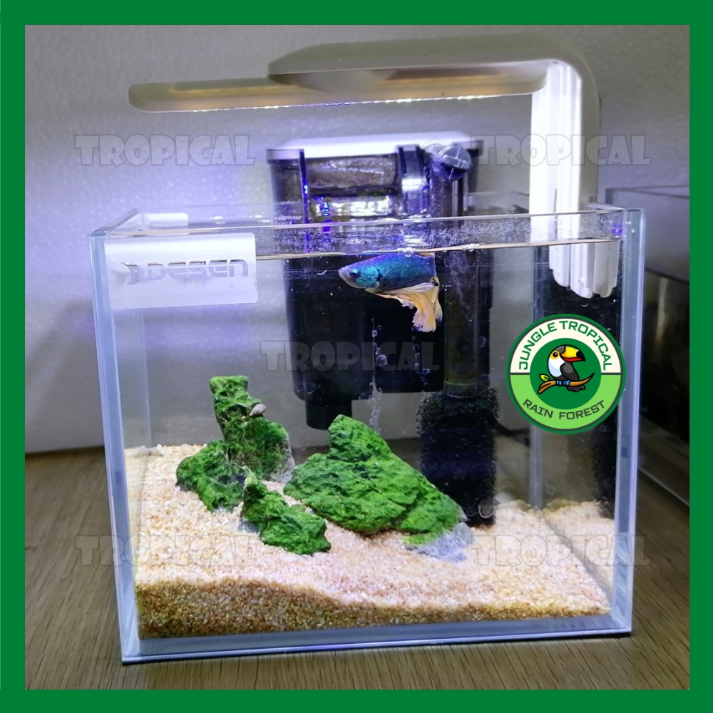 Đèn LED Jeneca siêu sáng- Xoay góc 90 độ linh hoạt - cho hồ thủy sinh kích thước D9 20-30cm - D11 30-40cm - D13 40-60cm