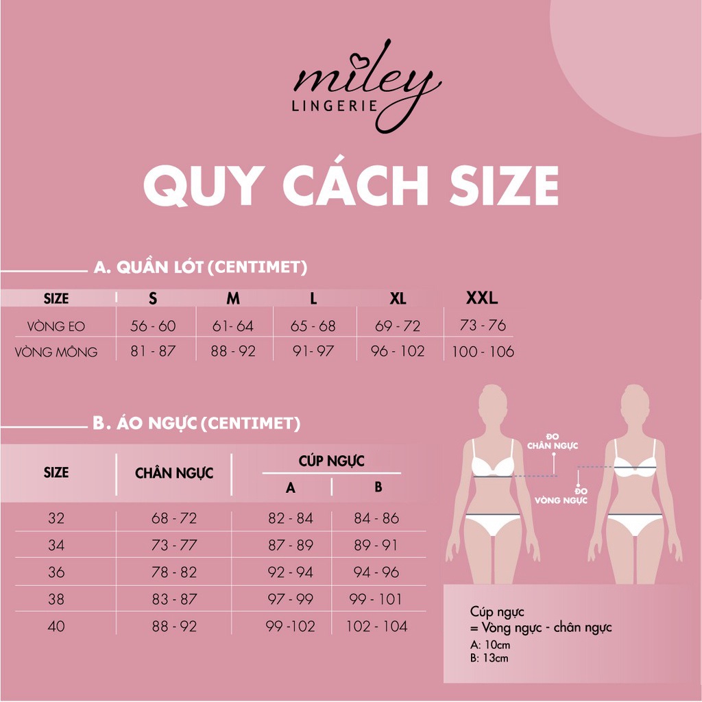 Combo 5 Quần Lót Thun Lạnh Trơn Viền Ren 4 Chiều Fashion Miley Lingerie BMS0100