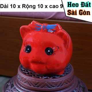 Heo Đất,Lợn sứ, heo mini nơ