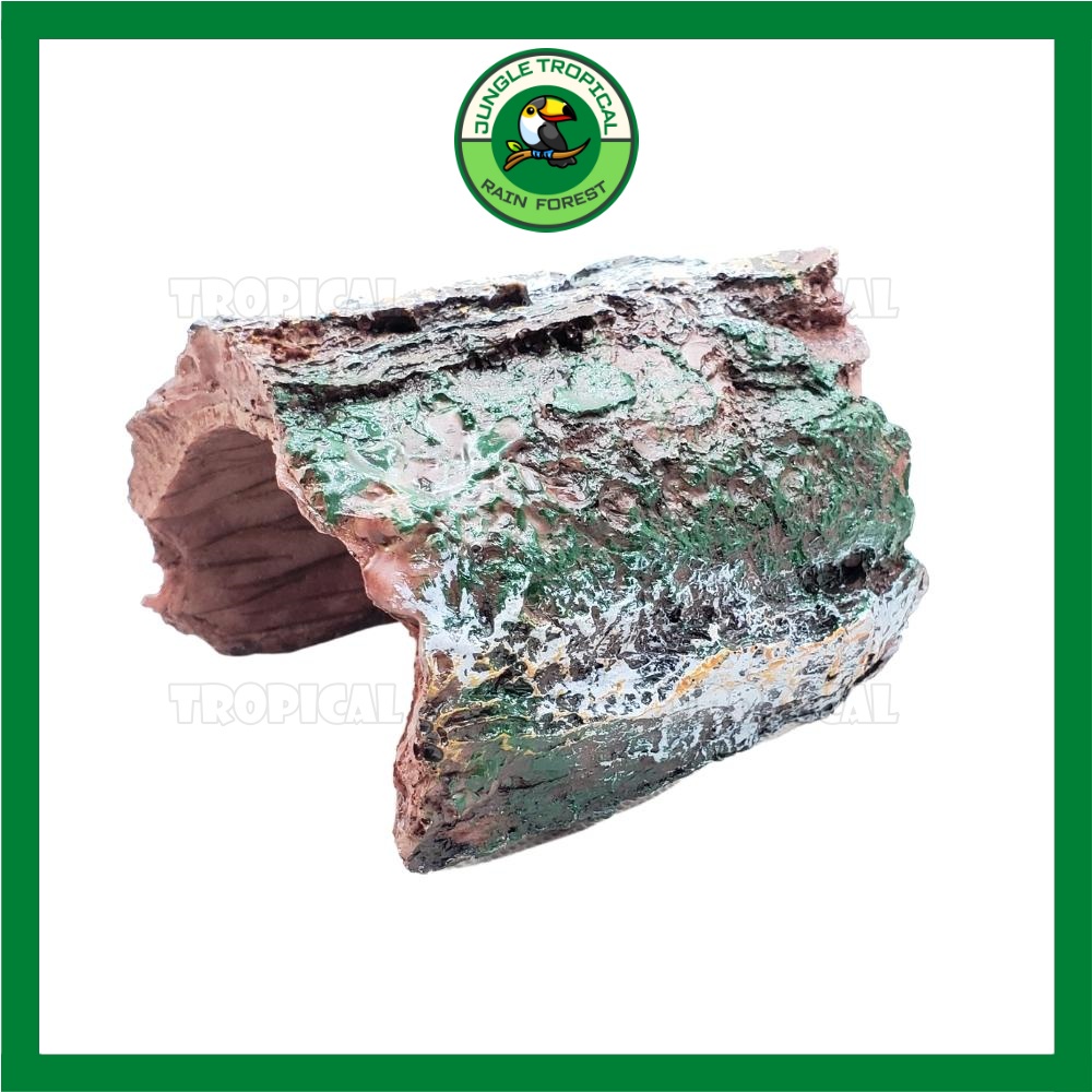 Hang trú ẩn hình gốc cây - Trang trí hồ cá tép cảnh, bể thủy sinh, hang bò sát