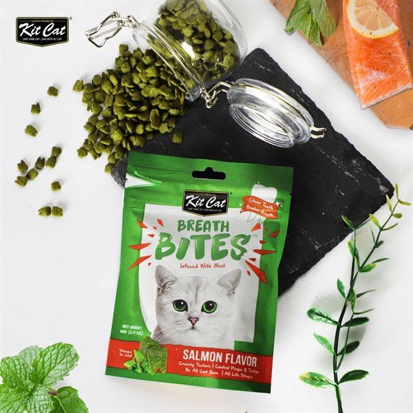 Snack Bánh Thưởng Sạch Răng Cho Mèo Kitcat Breath Bites gói 60g