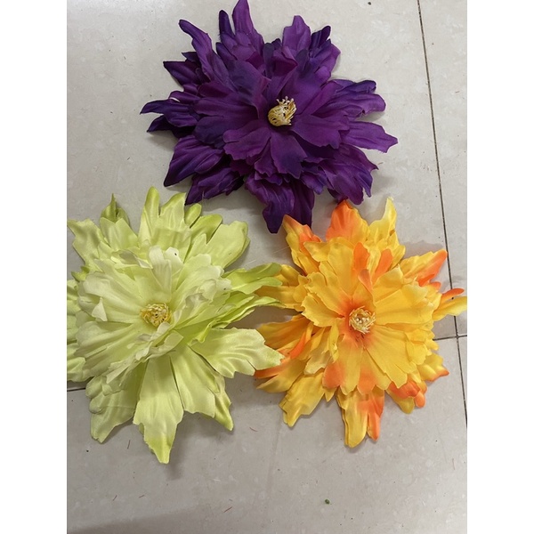 Mẫu đơn phi rời thanh lý