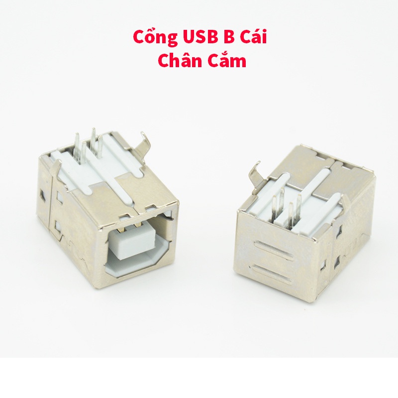 Cổng USB A/B/Mini/Micro Đực/Cái Chân Cắm/Chân Dán - Đầu USB, USB A, USB B, USB Mini, USB Micro