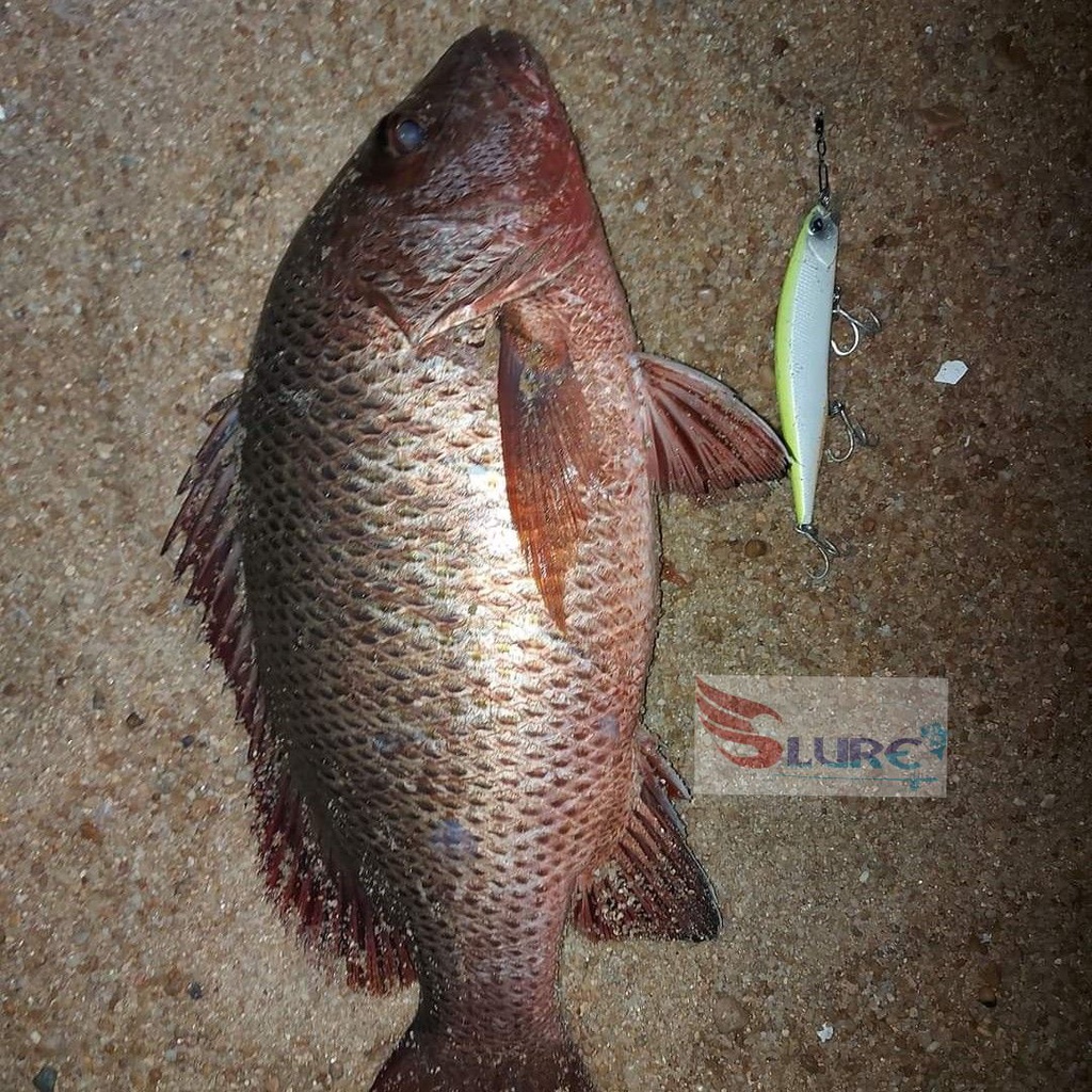 Mồi giả câu cá, lure DW51 13.5cm/17.5g