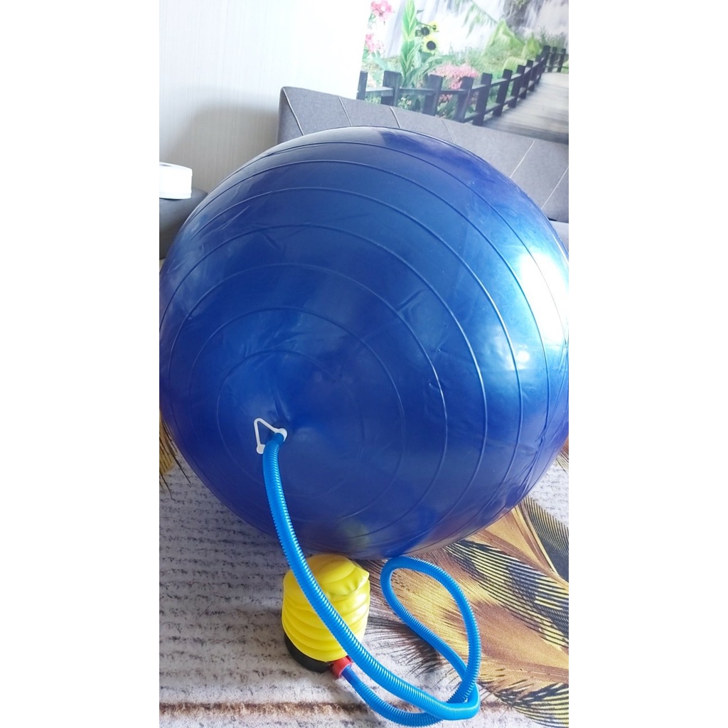 BG-Bóng 65cm tập gym/yoga 3 màu lựa chọn PINK-BLUE-VIOLET