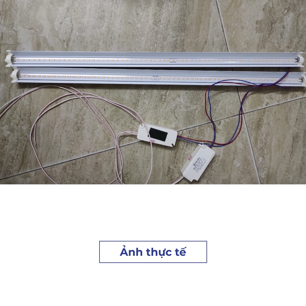 Đèn LED Trồng Rau Rạng Đông