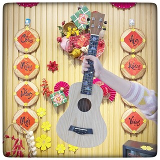 ĐÀN UKULELE GỖ MỘC GIÁ RẺ
