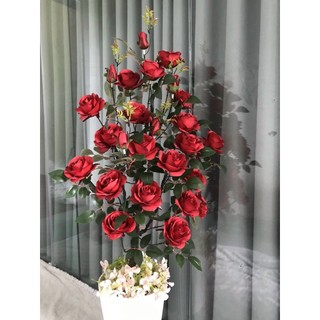 CÂY HỒNG PHÁP ( CÓ SỈ ) HOA GIẢ , HOA LỤA