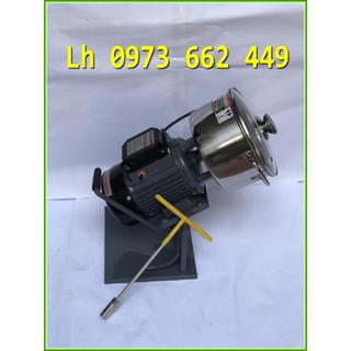 Máy xay xả, ớt, riềng và các loại gia vị, rau củ, xay giò chả