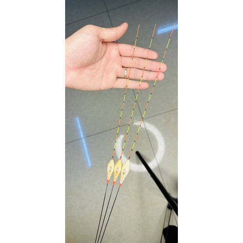 Phao cỏ Chép Y-L01