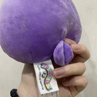 Gấu squishmallow (15cm)