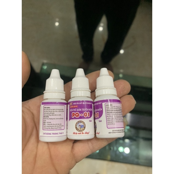 PQ-01 Lão Đại chữ a ho hen vảy mỏ chim canh