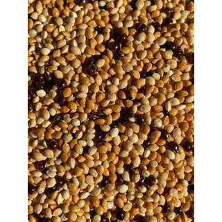 Cỏ thái cho chim cu gáy túi 1kg