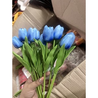 Hoa tulip cao su non