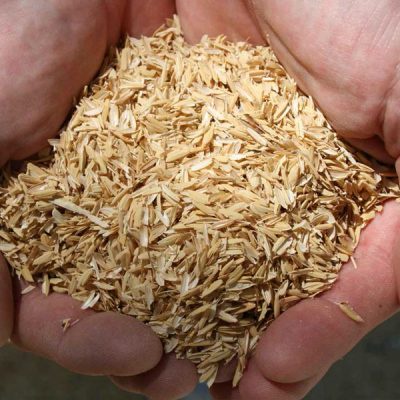 Vỏ trấu sạch (đóng bao tải)