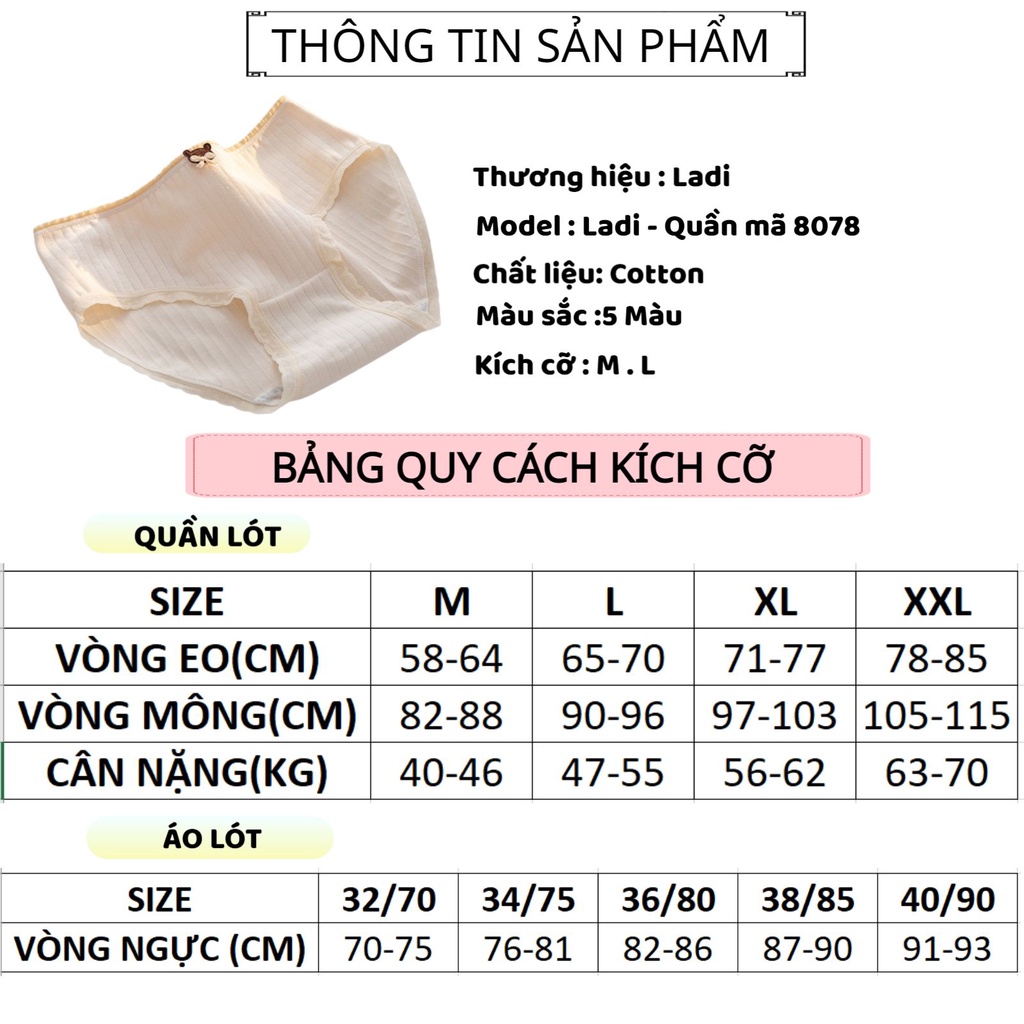 Quần Lót Nữ Cotton LADI Cao Cấp Mềm Mại Thiết Kế Viền Ren Điệu Đà Thoáng Mát MÃ 8078