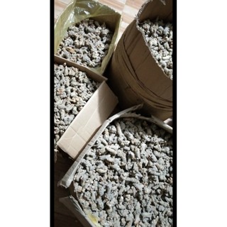Củ tam thất bắc khô