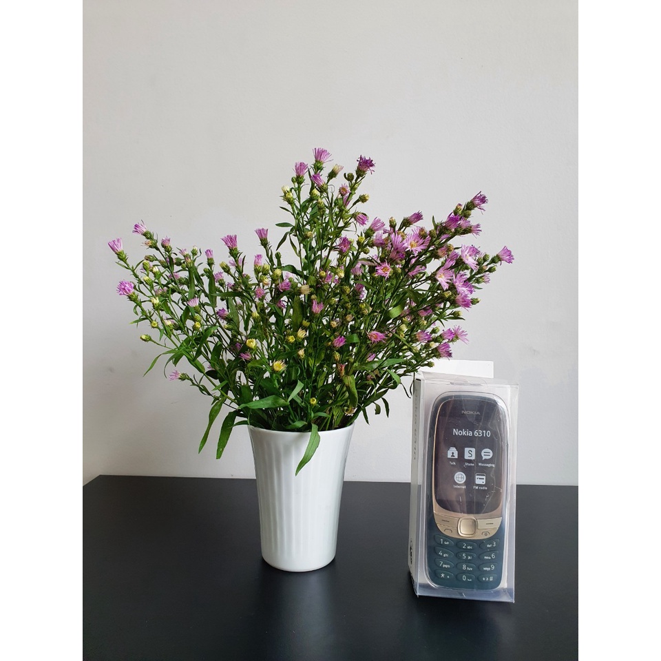 Điện Thoại Nokia 6310  - Dùng 2 Sim Loa To, Sóng Khỏe, Màn Hình To, Kèm Pin sạc  bh 06 th