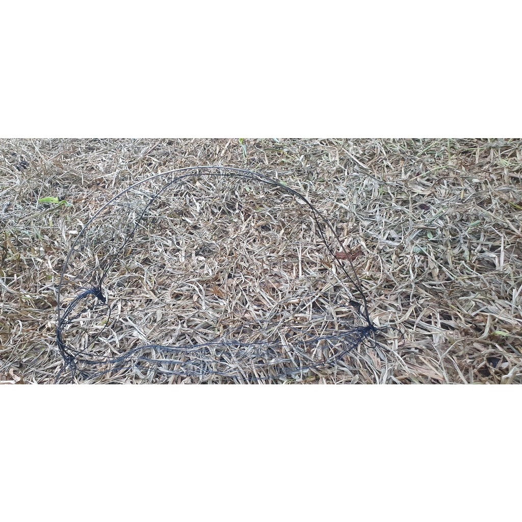 Cung Bẫy Cút Đủ Màu