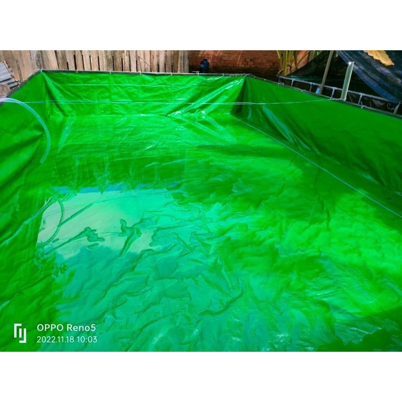 Hồ bạt nuôi cá, nuôi thuỷ sinh