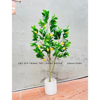 cây chanh giả 1m3 - cây cảnh giả decor