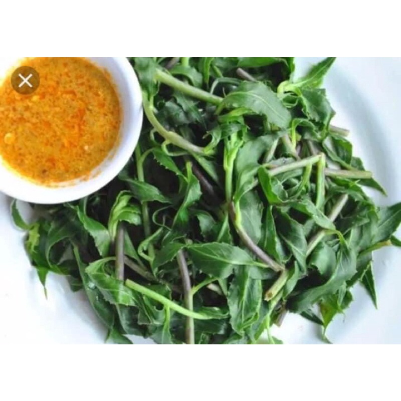 COMBO 3 KG RAU LỦI  - ĐẶC SẢN TÂY NGUYÊN