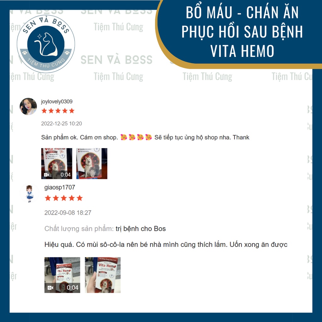 Vita Hemo Hỗ trợ tạo máu kích thích thèm ăn phục hồi nhanh cho chó mèo - 100ml - Thái Lan