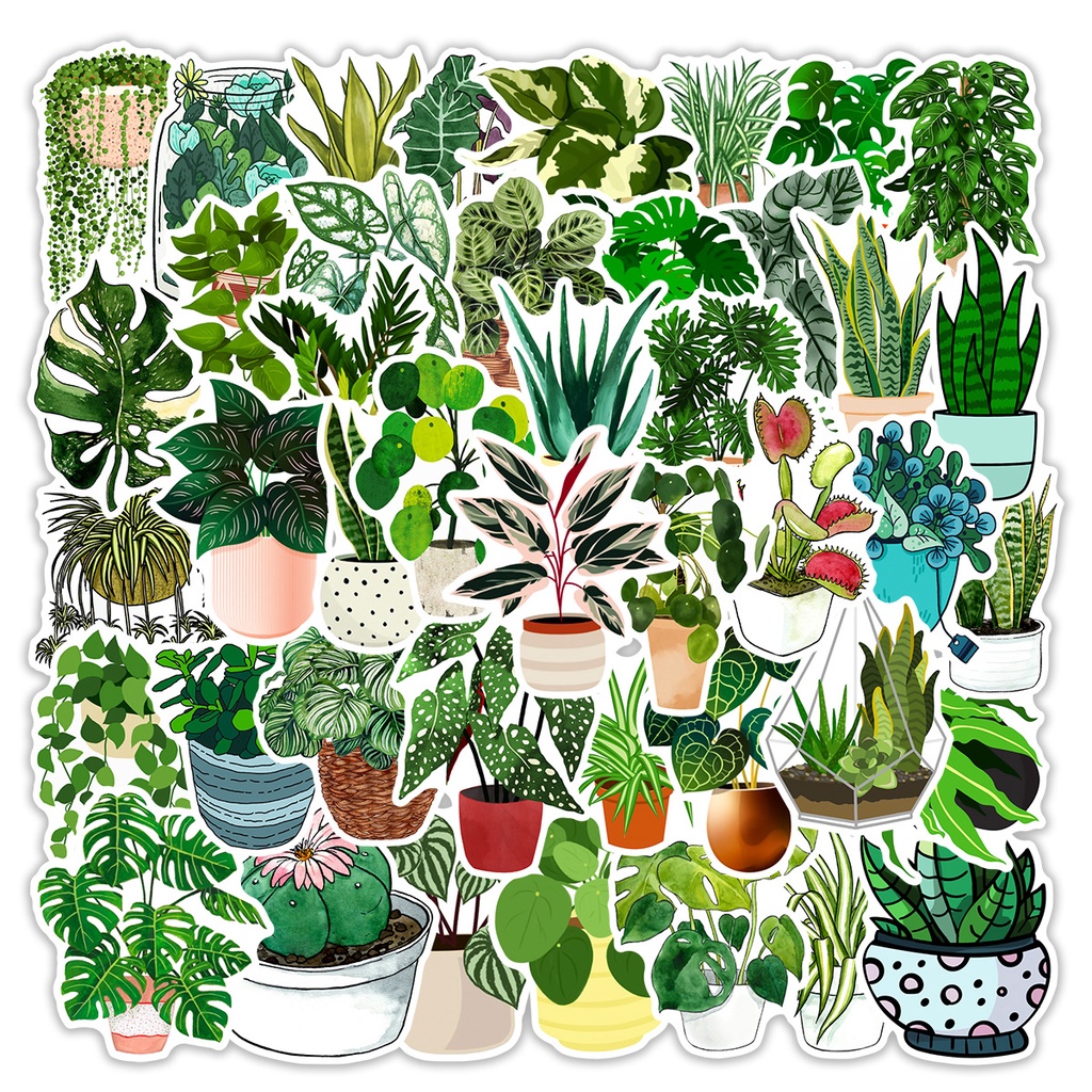 Sticker dán hình kiểng lá không thấm nước, sticker dán điện thoại hình kiểng lá monstera, philodendron, anthurium