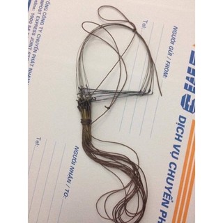 Giò bẫy chim cu thái se tư