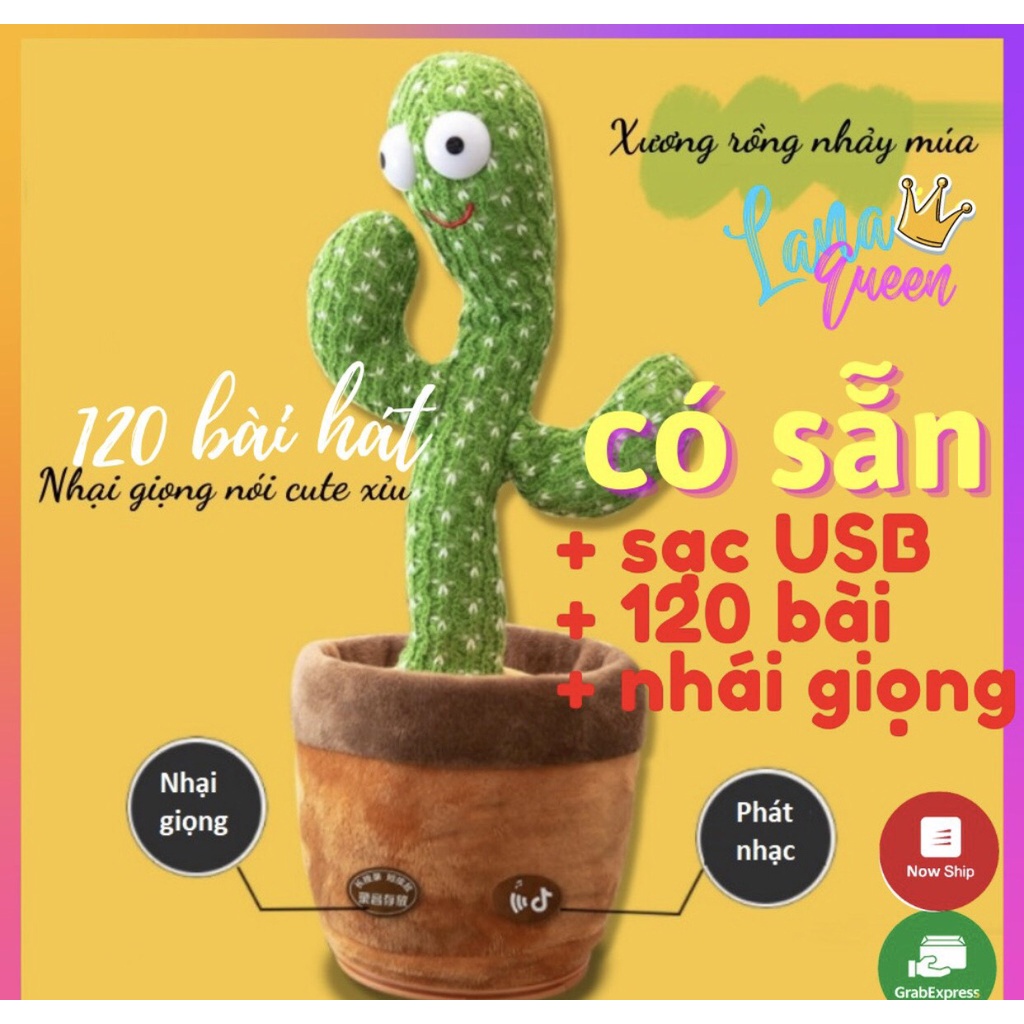 Cây xương rồng nhảy múa