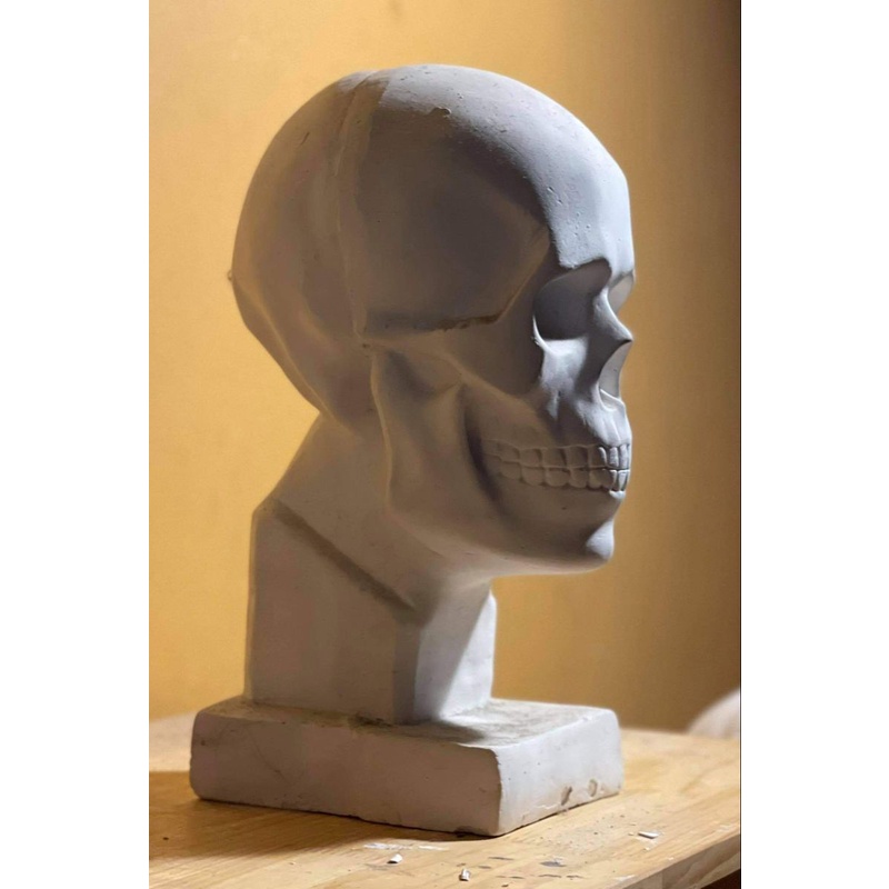 Tượng thạch cao Đầu Lâu 45cm - trang trí, tập kí họa,trang trí cafe ,Halloween, luyện thi V