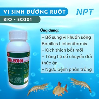 Men vi sinh đường ruột - men tiêu hóa cho tôm cá bio eco01 - chai 500g