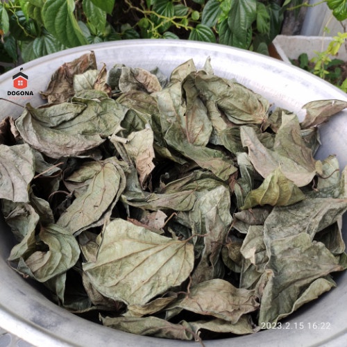 Lá trầu không khô, xông vùng kín, se khít cô bé sau sinh, phơi khô tự nhiên. 4kg lá trầu không tươi = 1kg lá trầu khô.