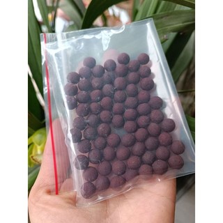 Pháp dược trường thọ Larung Gar