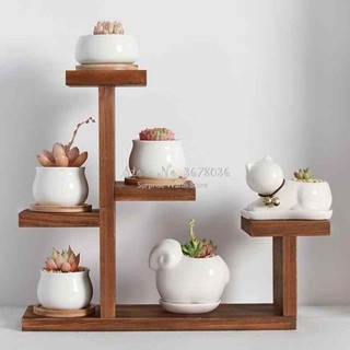 Kệ để chậu cây, chậu sen đá bằng gỗ/ giá để chậu cây, xương rồng