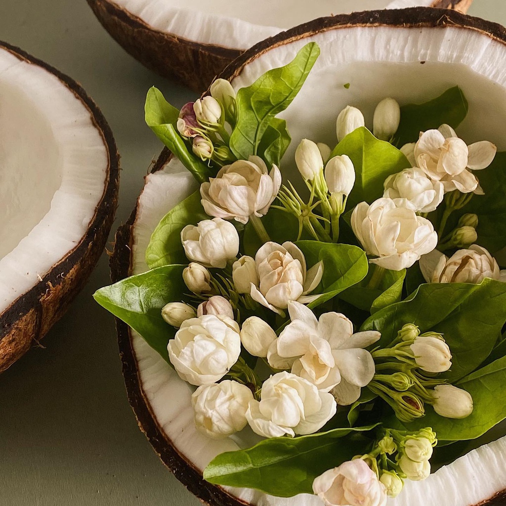 Nến Thơm Noé Studio Coco Jasmine Cao Cấp Có Nắp Đậy Sáp Đậu Nành Tinh Dầu Thiên Nhiên An Toàn