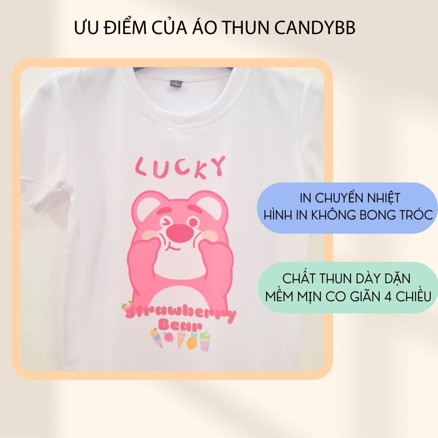 Áo thun trắng cho bé hình gấu bông dâu Lotso strawberry bear, áo phông bé trai bé gái cổ tròn mềm mịn size từ 10 - 65kg