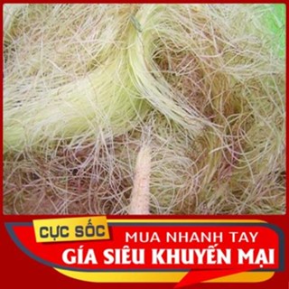 Râu Bắp (Râu Ngô) tươi - Thảo Dược Ngọc Ánh