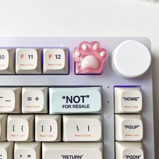 Keycap chân mèo nút lẻ R4 PBT phím cơ
