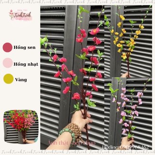Cành hoa mai, hoa đào giả có nụ lá