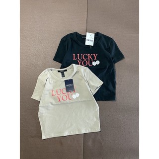áo thun crop top baby tee body [mẫu mới /2/2023]