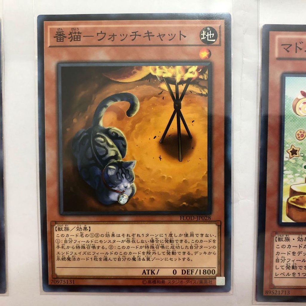 Thẻ bài YUGIOH - OCG - Watch Cat - FLOD-JP028 - Common - Effect Monster