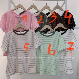 áo pull kẻ gai to 702
